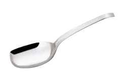 Sambonet Opscheplepel Living Zilver