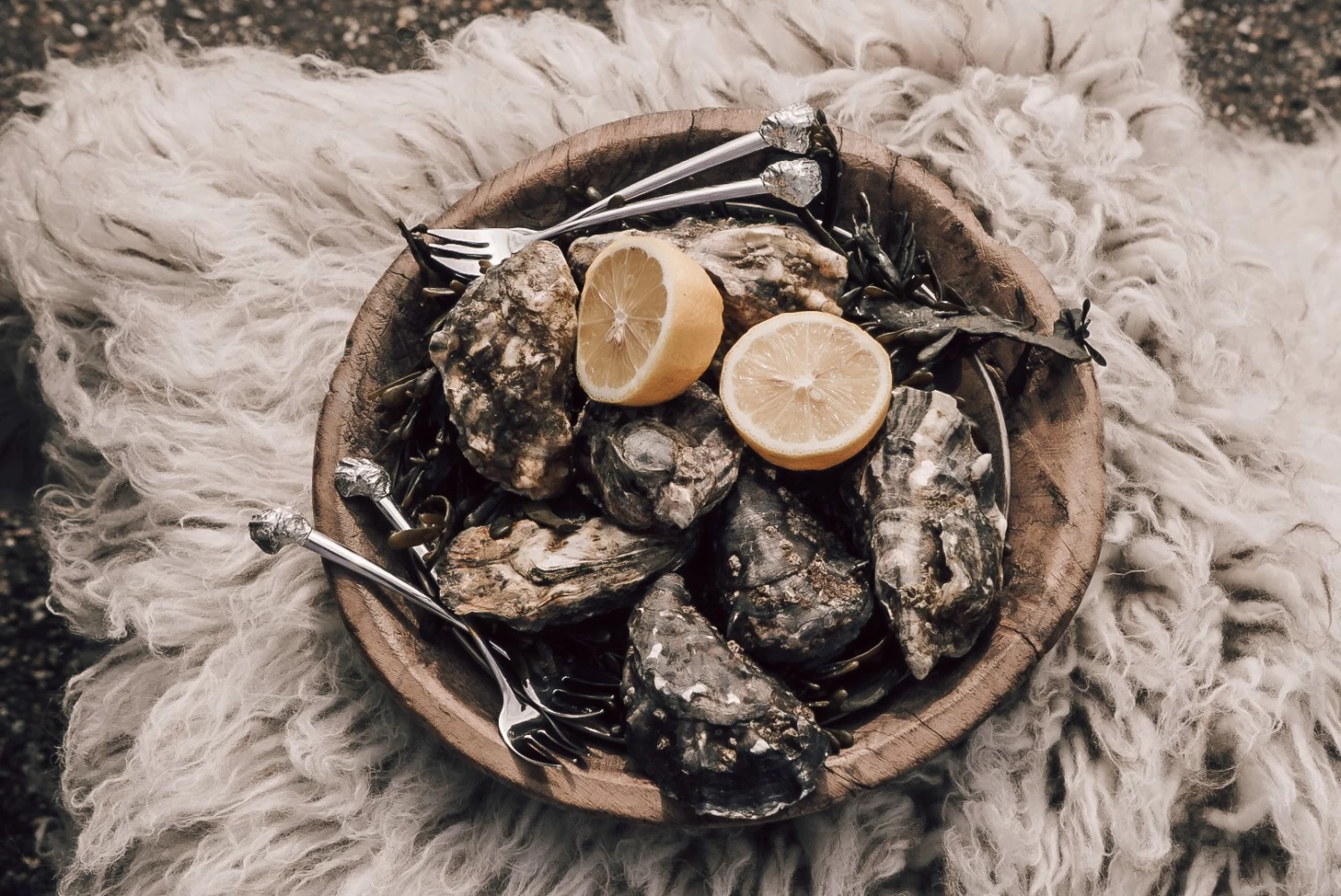 Anovi Oestervorkjes - 4 Stuks - Afbeelding 2